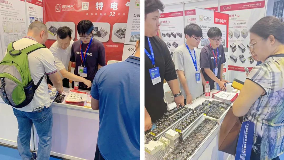 1735974959187768.jpg plink (6).jpg